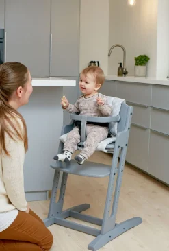 Højstole & Tilbehør|BabyDan Danstolen Højstol inkl Bøjle & Rem, Grå Grå