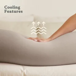 bbhugme Amning-Graviditets- og Ammepude, Seashell