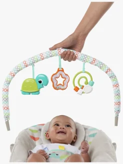 BrightStarts Skråstole & Babygynger-Bright Starts Wild Vibes Skråstol