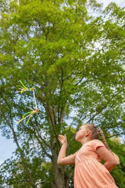 Havespil|BSToys BS Toys Snurrepind