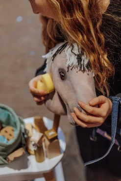 Dukker & Bamser|byASTRUP Plejesæt til Kæpheste Flerfarvet