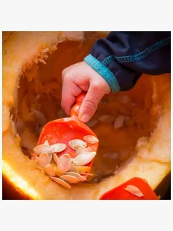 Kreativt Legetøj|CreativCompany Creativ Company Halloween Græskar Skæresæt