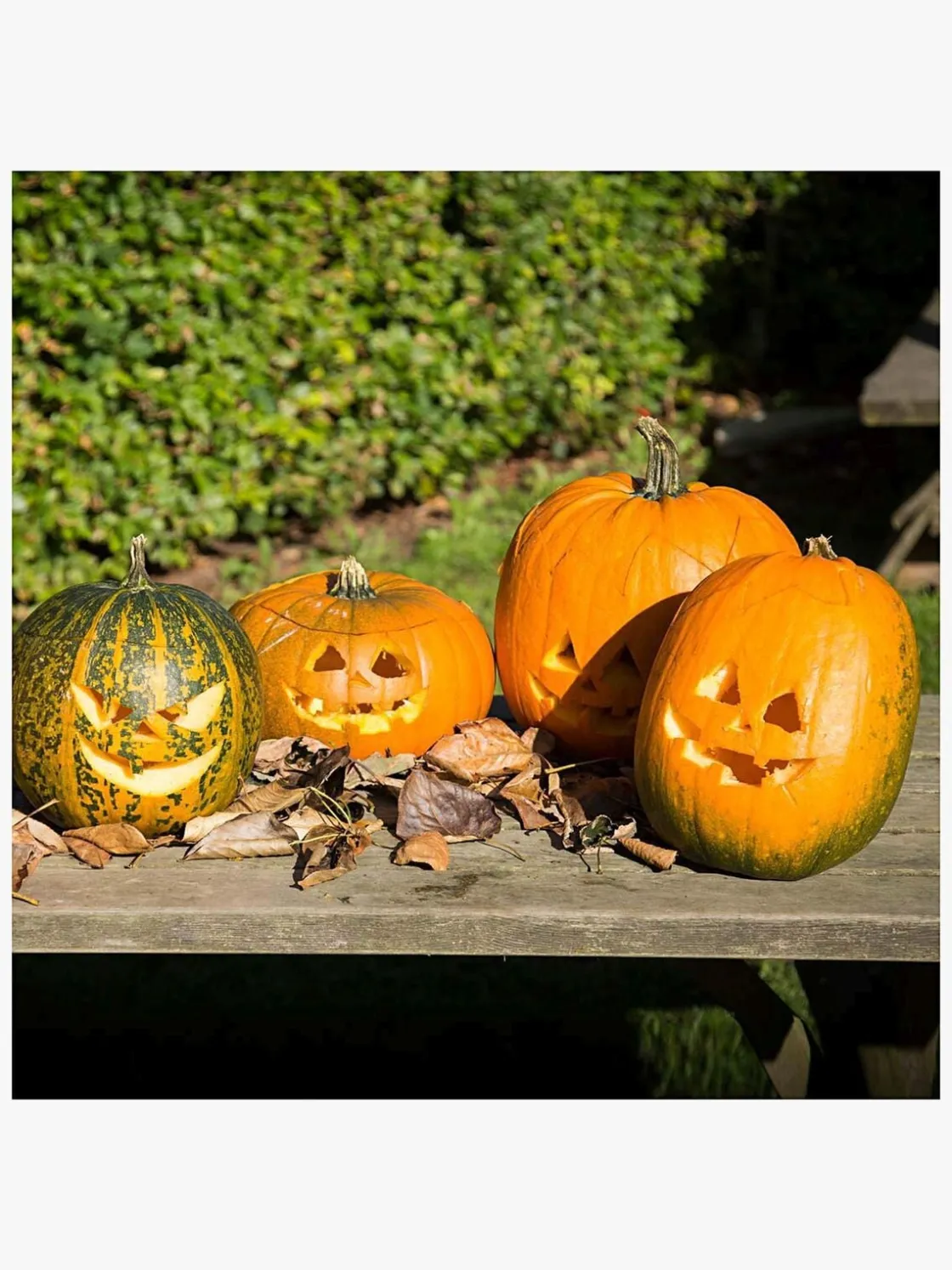 Kreativt Legetøj|CreativCompany Creativ Company Halloween Græskar Skæresæt