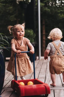 Dantoy Babylegetøj-Gåvogn