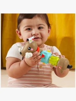 FisherPrice Babylegetøj-Fisher-Price Click & Spin Aktivitetslegetøj