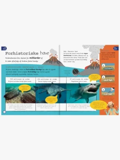 GlobeForlaget Bøger-Havet - Leksikon for de yngste