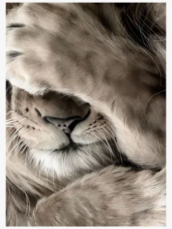 Interiør|LinnWold Linn Wold Plakat 30x40 Leo Flerfarvet