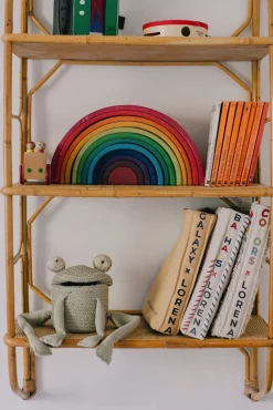 Børn LorenaCanals Opbevaring-Lorena Canals Opbevaringskurv Mini Fred the Frog