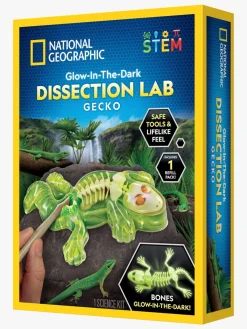 NationalGeographic Eksperimenter & Videnskab-National Geographic Gecko Laboratorie-dissektionssæt