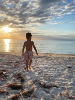 Uv & Strand|Nordbjrn Nordbjørn Solarino Badebukser, Brown Stripe Brun/Hvid