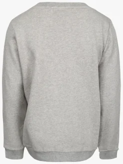 Børn PetitbySofieSchnoor Overdele-Petit by Sofie Schnoor Trøje, Grey Melange