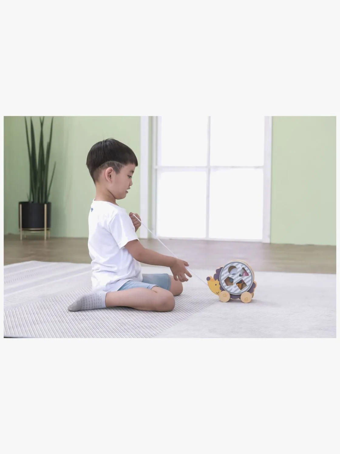 Trælegetøj|PolarB Pindsvin Træklegetøj med Puttekasse