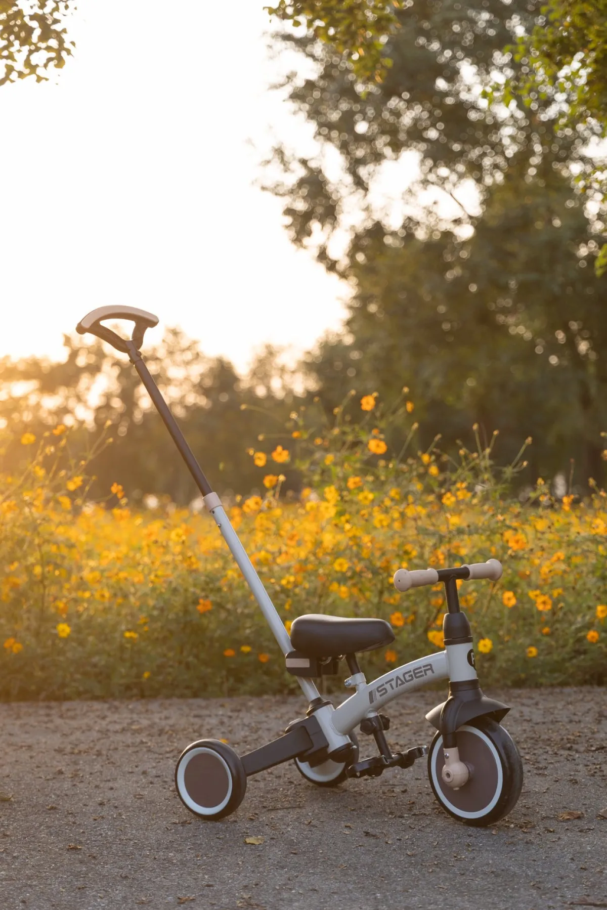 Qplay Cykler-Stager 3-i-1 Transformerbar Trehjulet Cykel, Brun