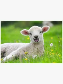 Spil & Puslespil|Ravensburger Puslespil Bondegårdsdyr 2x12 Brikker