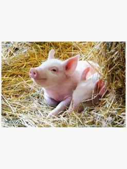 Spil & Puslespil|Ravensburger Puslespil Bondegårdsdyr 2x12 Brikker