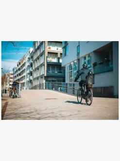 Cykler|Thule Ride Along 2 Rack Mount Cykelstol, Dark Gray Sort/Grå