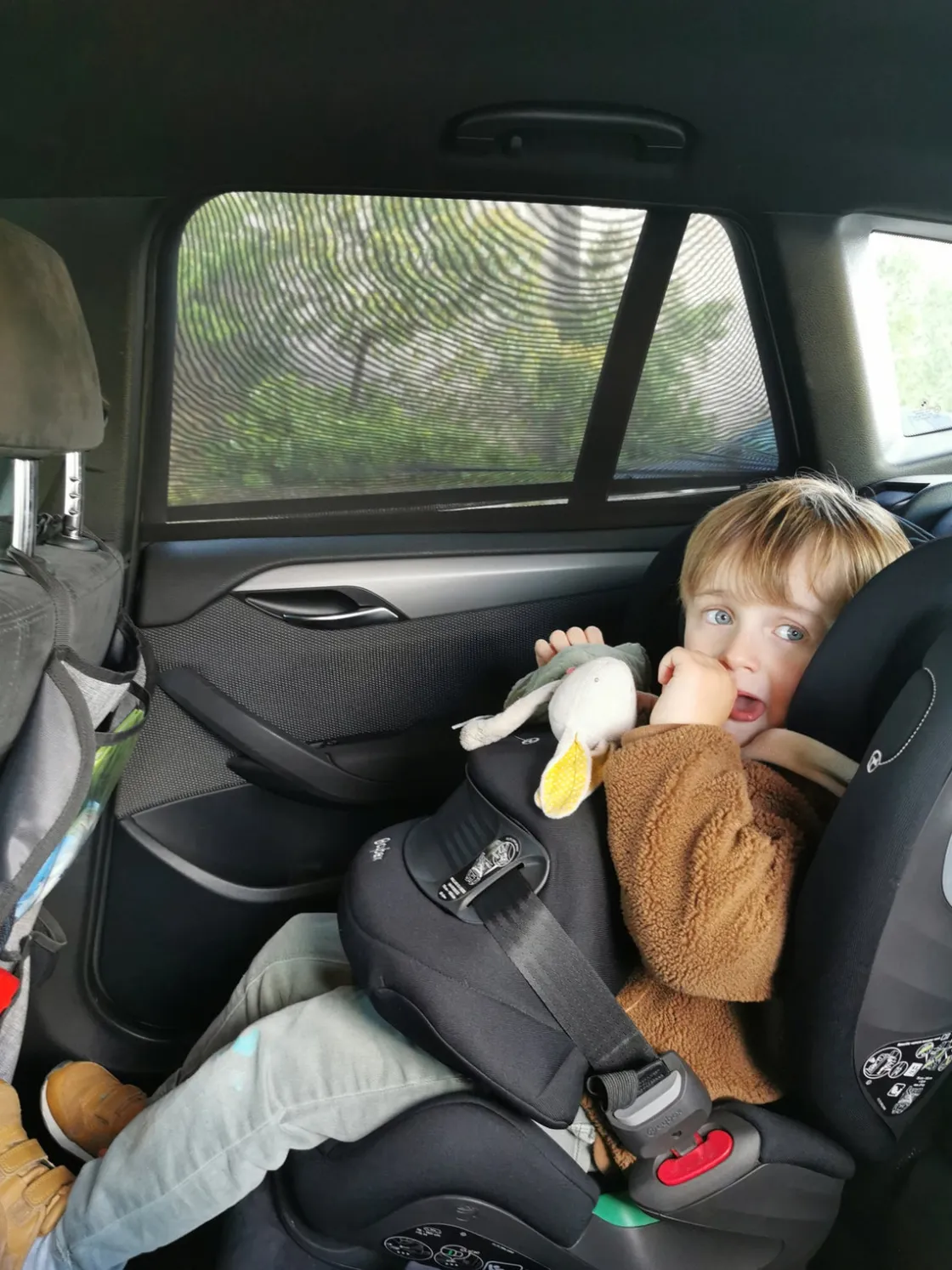 Tilbehør|Tineo Tinéo Pull-on Solskærm Bil 2-pak