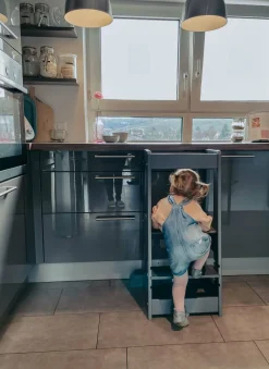 Børn tiSsi Børnemøbler-Læringstårn, Beech Grey