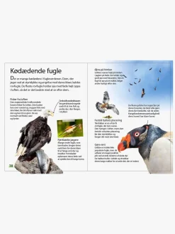 Bøger|GlobeForlaget Ud i naturen - Fugle