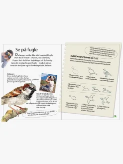 Bøger|GlobeForlaget Ud i naturen - Fugle